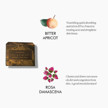 https://cdn.shopify.com/s/files/1/1857/6931/products/PrKZMNTPDr.jpg?v=1662384336